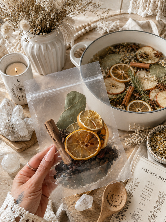 Protection & Cleanse Simmer Pot