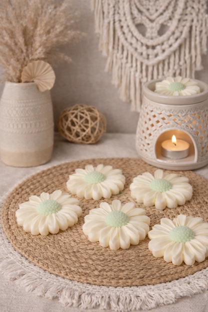 🌼 Daisy Wax Melt – Coconut & Lime (5 Pack)